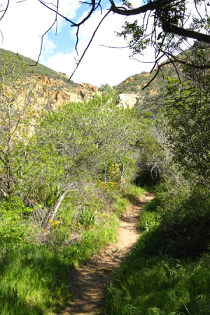 Escondido Canyon 2 - March 2008